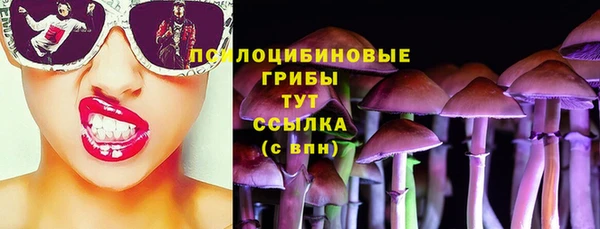прущие крисы Абаза