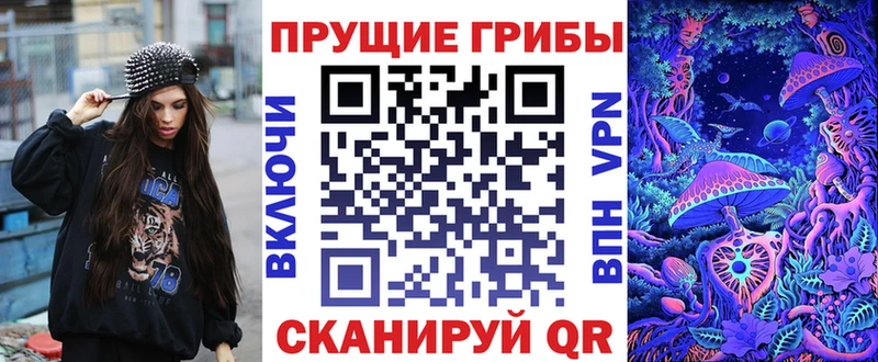 блэк спрут ссылка  Зея  Галлюциногенные грибы Psilocybe 