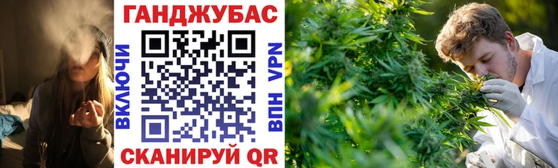 Шишки марихуана SATIVA & INDICA  купить  сайты  Зея 